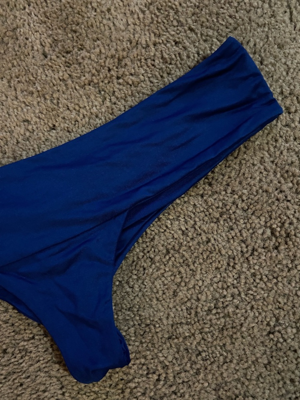 Greenlee Swim Bikini Bottoms - Picture 3 of 6